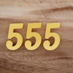 Was bedeutet 555 im Internet?